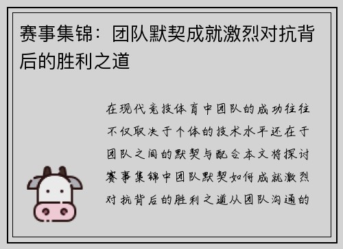 赛事集锦：团队默契成就激烈对抗背后的胜利之道
