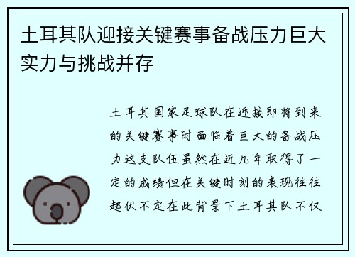土耳其队迎接关键赛事备战压力巨大实力与挑战并存