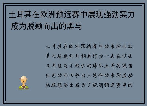 土耳其在欧洲预选赛中展现强劲实力 成为脱颖而出的黑马