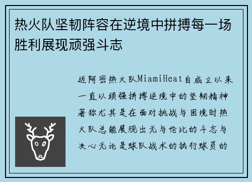 热火队坚韧阵容在逆境中拼搏每一场胜利展现顽强斗志