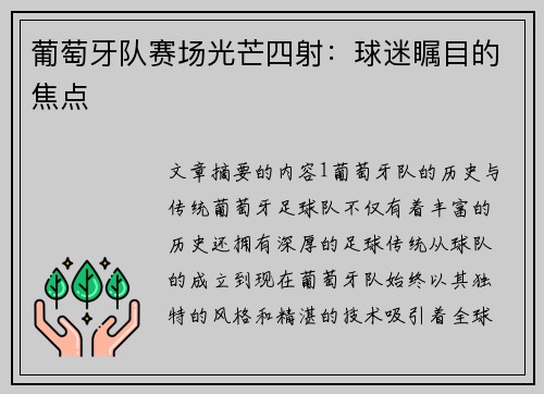 葡萄牙队赛场光芒四射：球迷瞩目的焦点