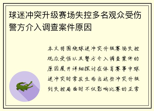 球迷冲突升级赛场失控多名观众受伤警方介入调查案件原因
