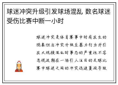 球迷冲突升级引发球场混乱 数名球迷受伤比赛中断一小时