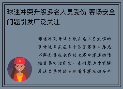 球迷冲突升级多名人员受伤 赛场安全问题引发广泛关注
