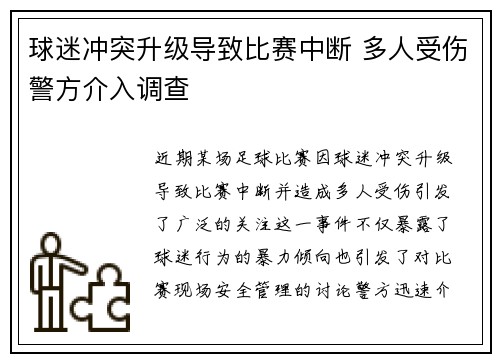 球迷冲突升级导致比赛中断 多人受伤警方介入调查